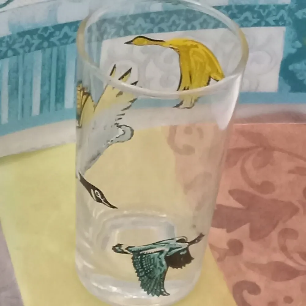 Wild Geese Series Drink Tumbler 12 oz Glass Blue Black Yellow Fowl